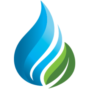 World Hydrogen Summit logo